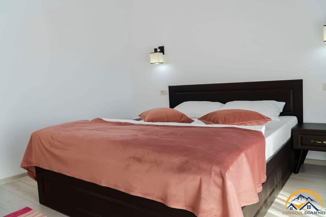 Conacul Doamnei Corbi Exterior foto