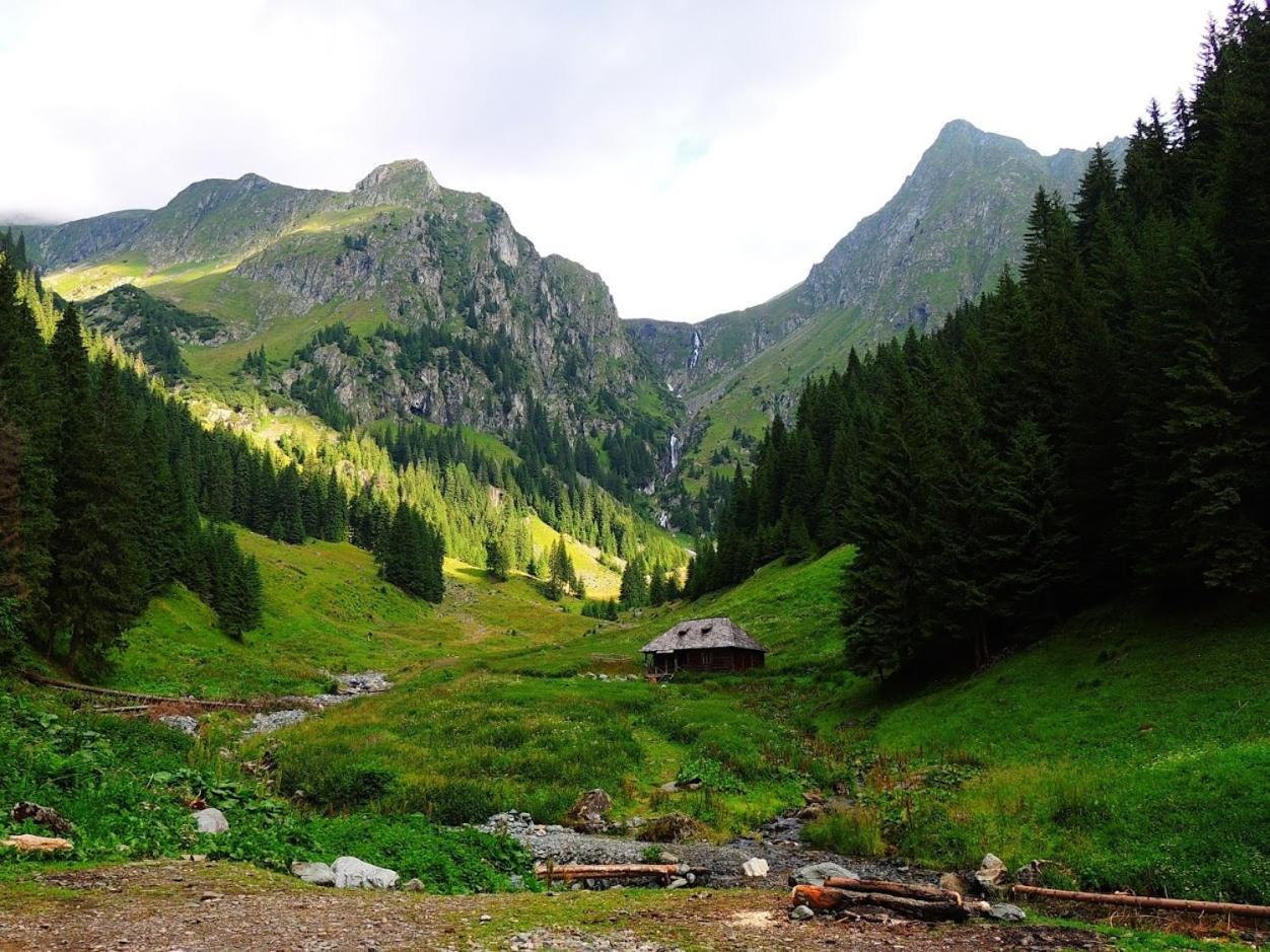 Conacul Doamnei Corbi Exterior foto