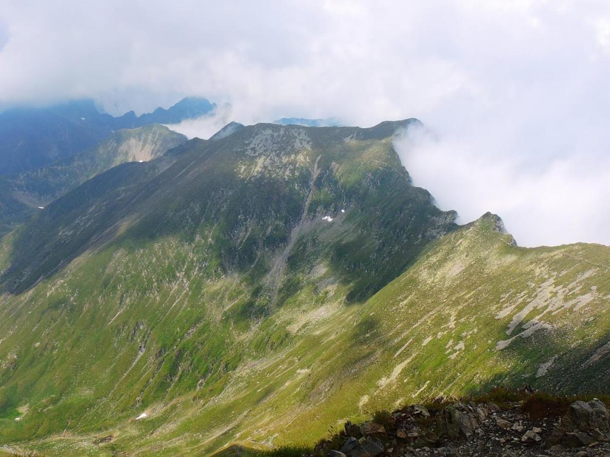 Conacul Doamnei Corbi Exterior foto