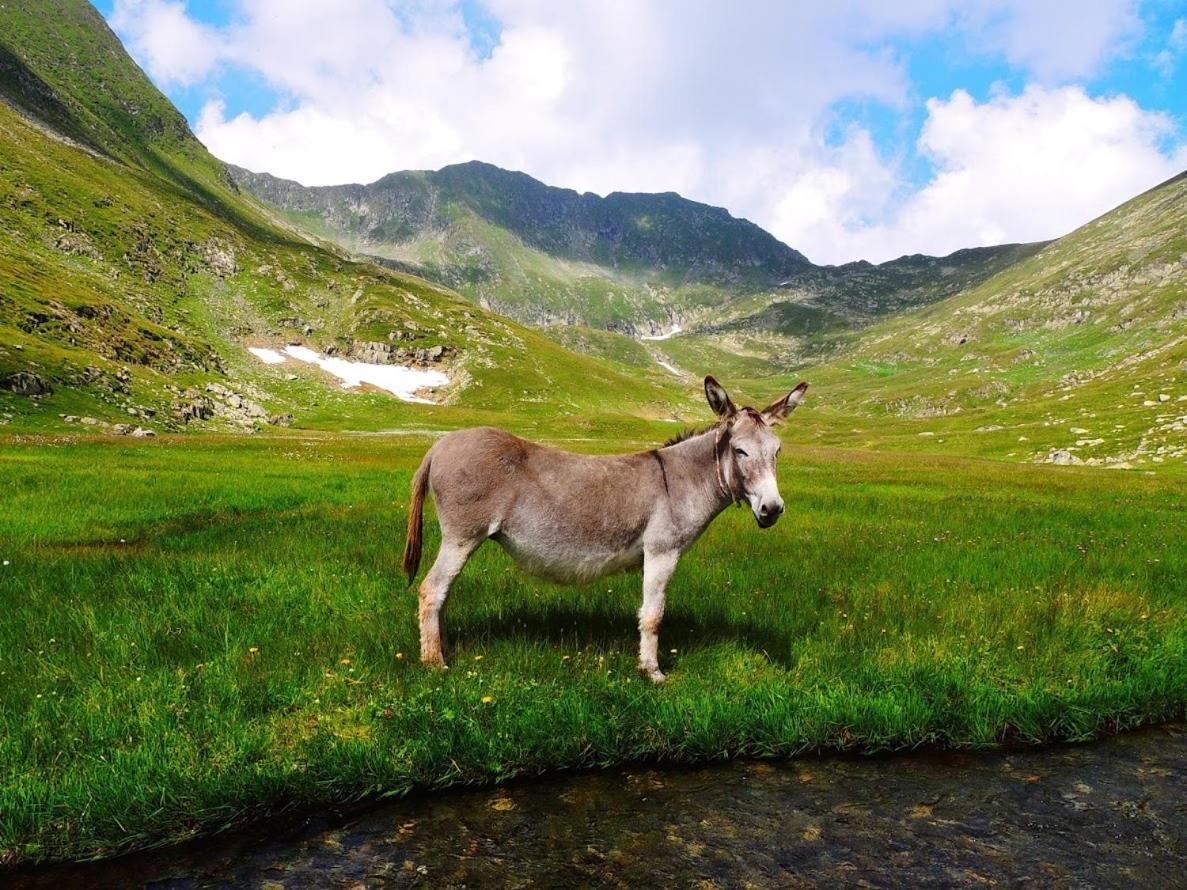 Conacul Doamnei Corbi Exterior foto